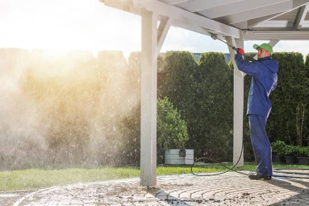 Animal Enclosure Cleaning in North Lindenhurst, NY